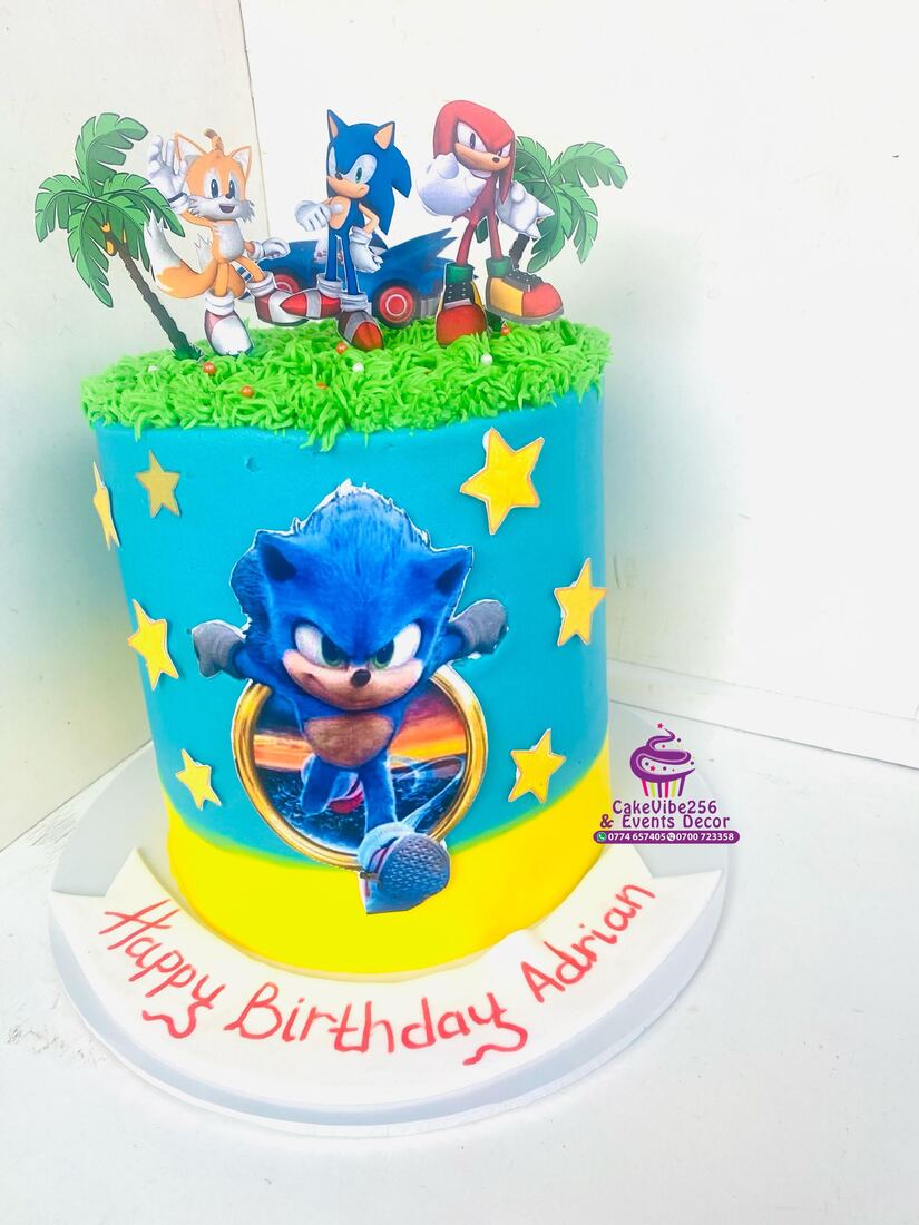 Sonic the Hedgehog themed birthday cake with green grass icing