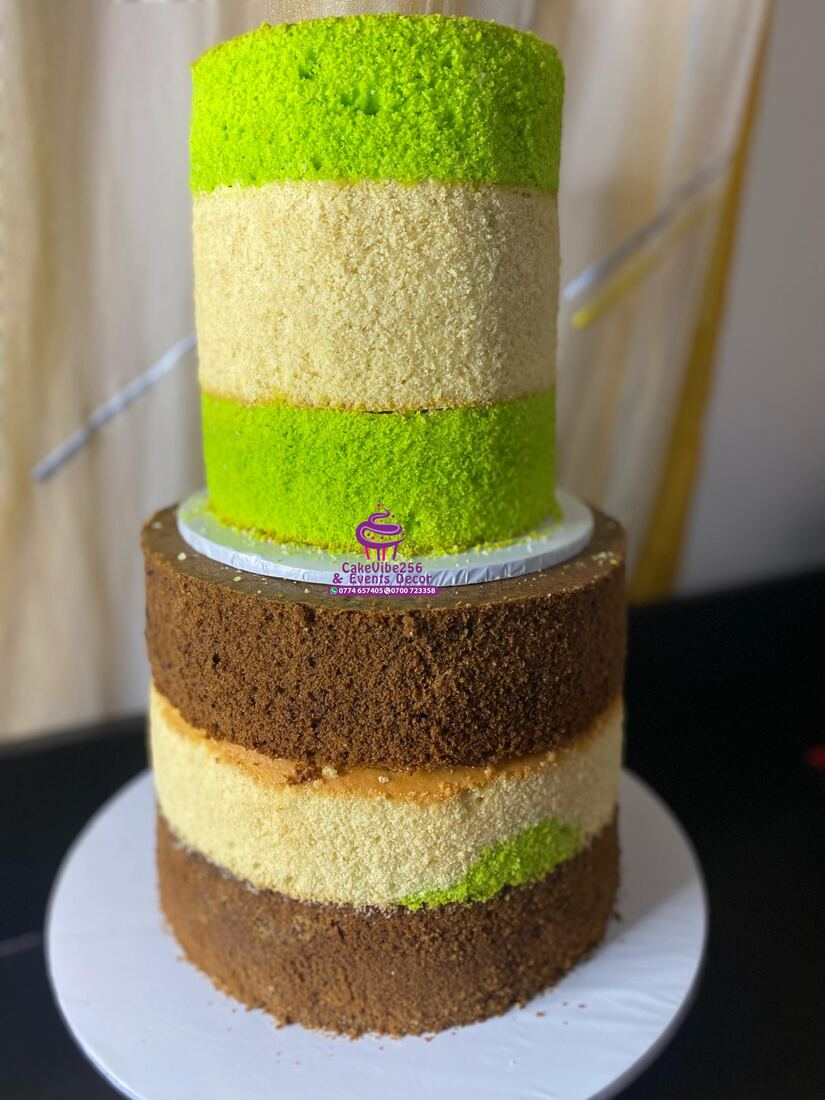 Rainbow naked cake with green, vanilla and chocolate layers